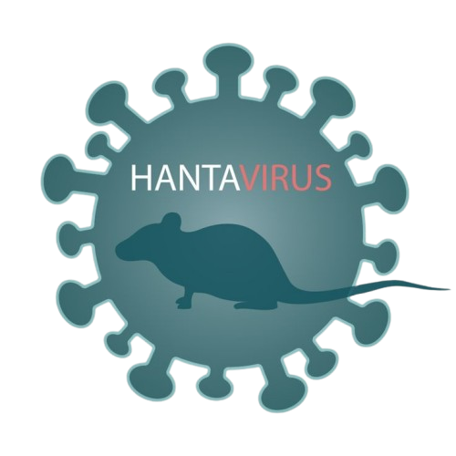 hanta virus